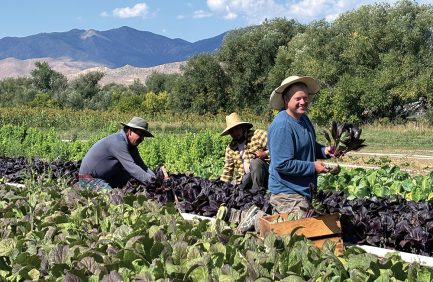 Chef Eric Skokan of Boulder’s Black Cat and Bramble & Hare operates a 500-acre certified organic farm, supplying the majority of produce and protein to both restaurants.