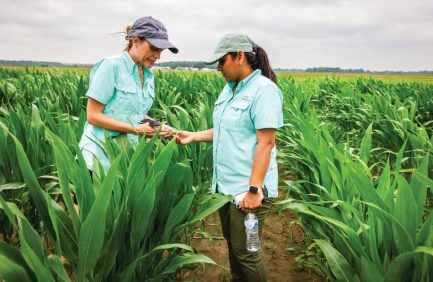 Two women in a field examining crops, both wearing light blue shirts and caps, surrounded by tall green plants under a cloudy sky.