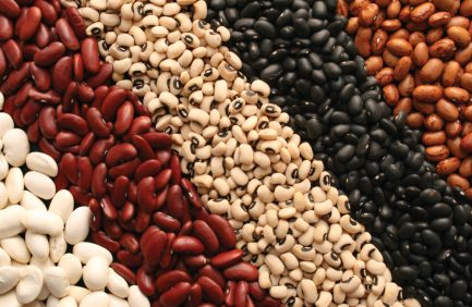 A variety of dried beans arranged in diagonal rows, including kidney beans, black beans, white beans, and black-eyed peas.
