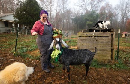 A person with purple hair stands beside a goat wearing a leafy headpiece. A cat is on a wooden structure in the background, and a dog is in the foreground.