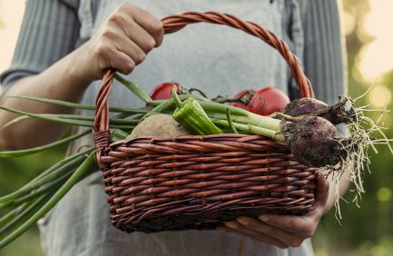 Person holding a woven basket filled with fresh vegetables