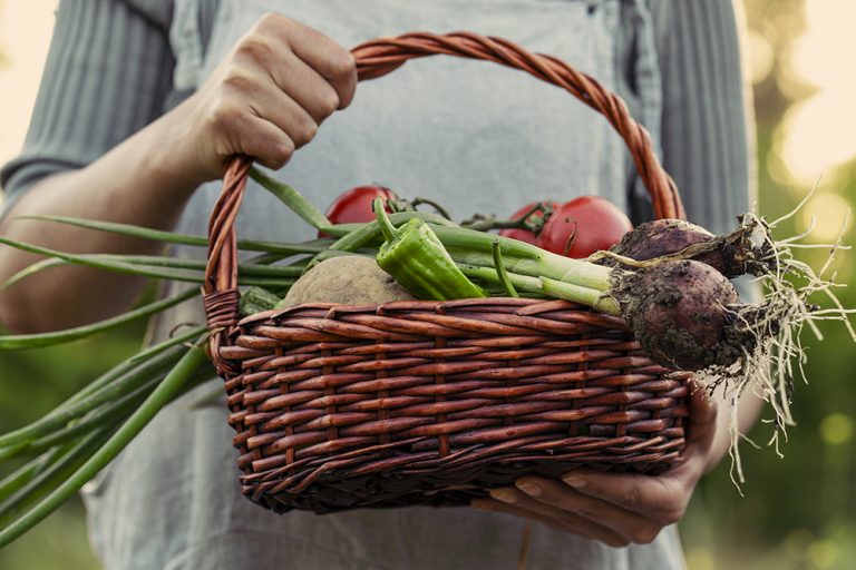 Growing For Good: How Barker Farm Is Fighting Hunger – And You Can, Too