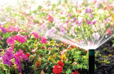 A garden sprinkler spraying water over colorful blooming flowers in a bright, sunlit garden.