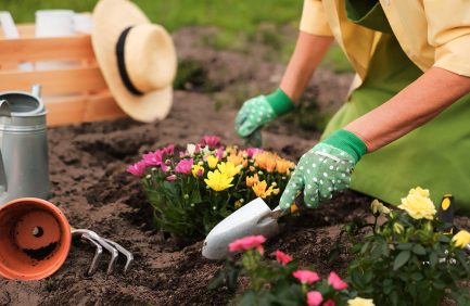 beginner gardener working in the garden
