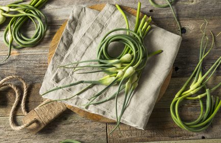 Fresh garlic scapes arranged on a beige cloth and wooden cutting board, with rustic wooden table background and pieces of rope visible.