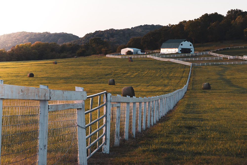 10 Amazing Farm Stay Destinations in the U.S.