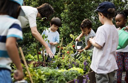 A group of children and an adult gardening together at a teaching farm