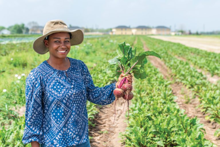 The Common Market Texas Brings Local Produce to School Cafeterias