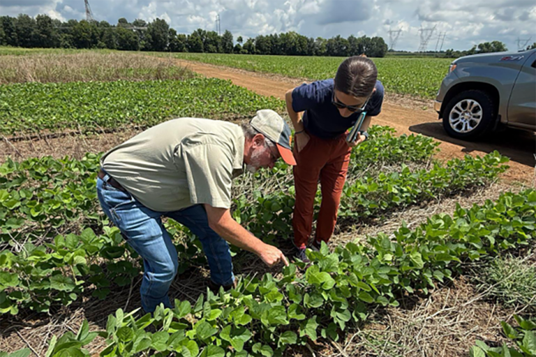 NASA Satellite Data Helps Farmers Make Better Decisions