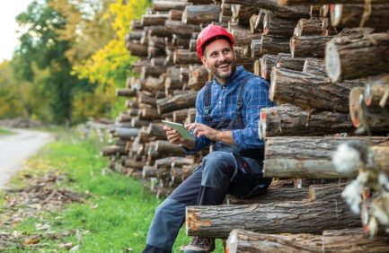 Handsome man forestry engineer holding tablet and checking tree trunks stacked in forest
